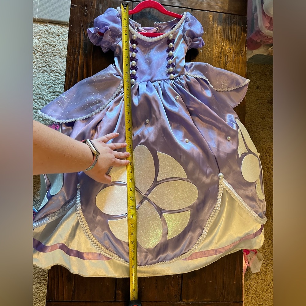 CUSTOM MADE 💜 Disney Princess Sofia costume & accessories - Picture 5 of 6
